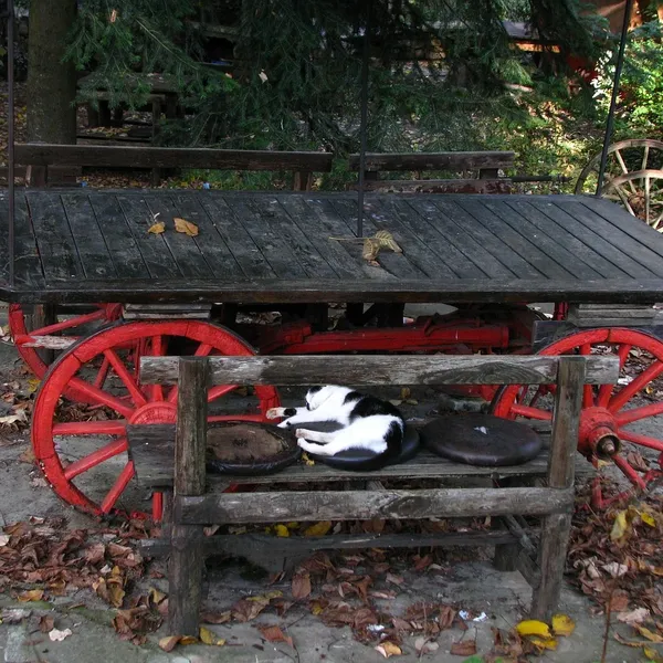 509128765dd8ea4e27559c8b3645f8edd2d57038.jpg