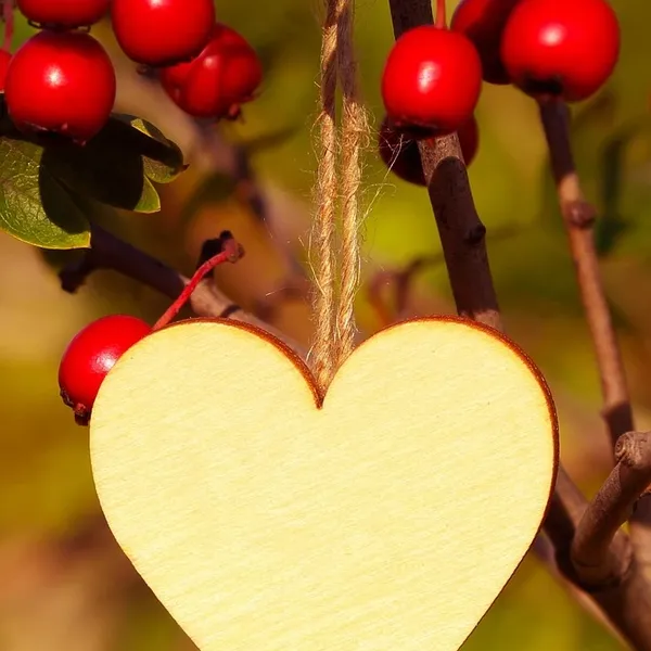 50 sztuk/partia Mini Drewniany Kołek Love Heart Shape Klipy Photo Uchwyt Zaciskowy Rękodzieła Dom Wedding Favor Decor Party Supplies VBT50 P0.5