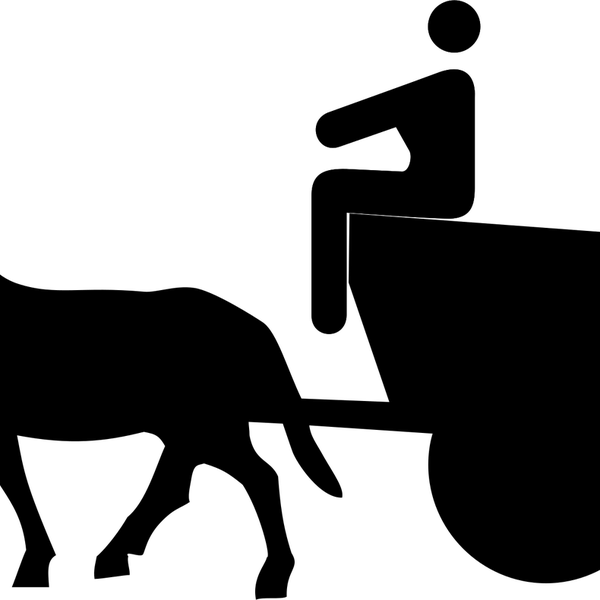 43fcfbc2308f98fc601f3588fdf328826aec4fe3.jpg