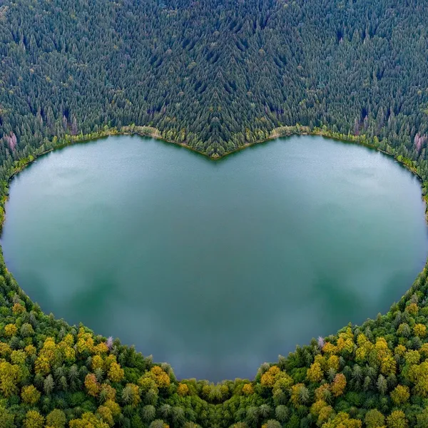 50 sztuk/partia Mini Drewniany Kołek Love Heart Shape Klipy Photo Uchwyt Zaciskowy Rękodzieła Dom Wedding Favor Decor Party Supplies VBT50 P0.5