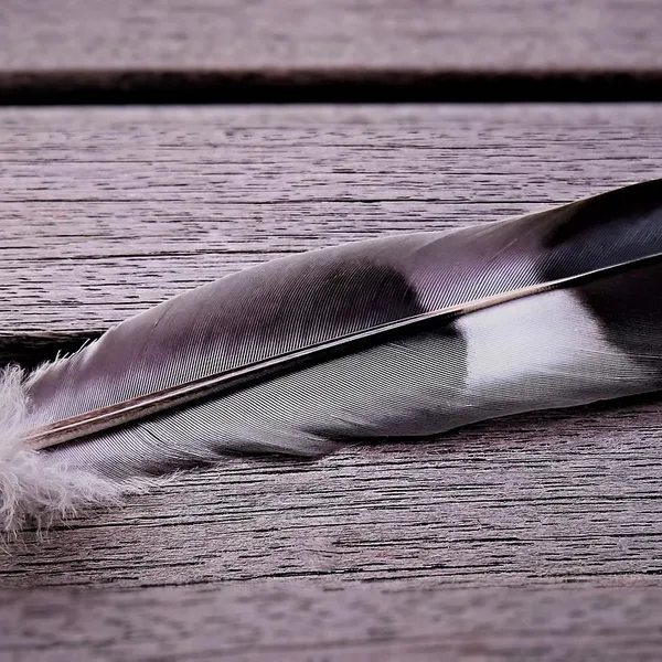 Symulowane Perły Długi Kutas ES287 Liść Feather Wypadania Dangle Kolczyki Dla Kobiet Brincos Bijoux boucle d'oreille Biżuteria Kolczyk