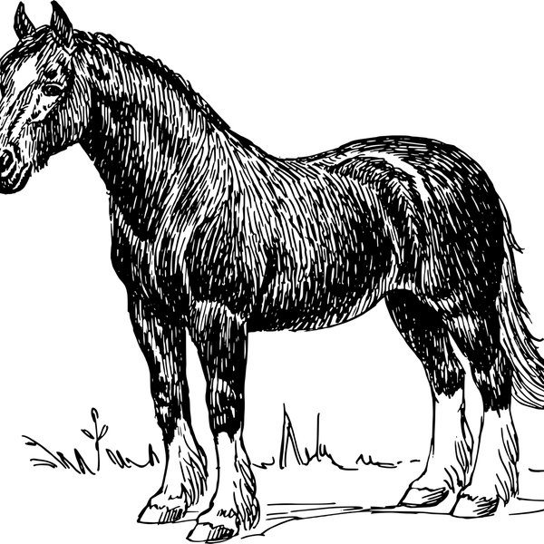 cc6edfa46450733646ff60e3b794590687d8c0d8.jpg