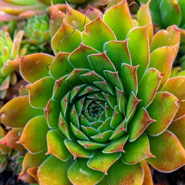17d27ed6a292805d54601f113505ccb8d6ae0965.jpg
