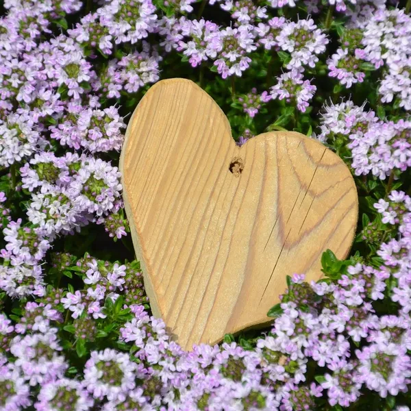 50 sztuk/partia Mini Drewniany Kołek Love Heart Shape Klipy Photo Uchwyt Zaciskowy Rękodzieła Dom Wedding Favor Decor Party Supplies VBT50 P0.5