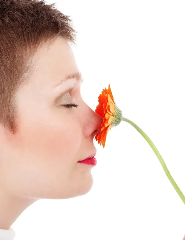 HIRIGIN najnowszy 2020 kobiet moda lato wysokiej talii wąż szorty Casual plaża Hot Lady szorty