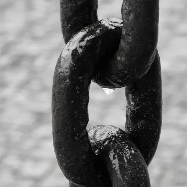 Tocona 4 sztuk/zestaw Mody Czechy Liści Węzeł Ręcznie Mankietów Link Chain Charm Bransoletka Bangle dla Kobiet Złota Biżuteria Bransoletki Femme 6115