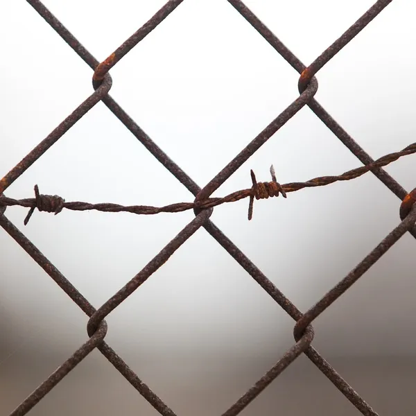 Tocona 4 sztuk/zestaw Mody Czechy Liści Węzeł Ręcznie Mankietów Link Chain Charm Bransoletka Bangle dla Kobiet Złota Biżuteria Bransoletki Femme 6115
