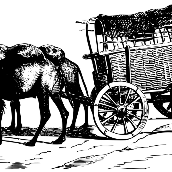 ab10bd69e7f78596d1203ef4ac4cff7e54747f99.jpg
