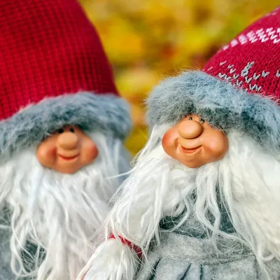 SP & MIASTA Cute Zwierząt Kawaii Kot Z Psem Lato Krótkie Skarpetki Bawełniane Skarpetki Kobiece Pantofle Kobiet Dorywczo Miękkie Funny łódź Skarpetki