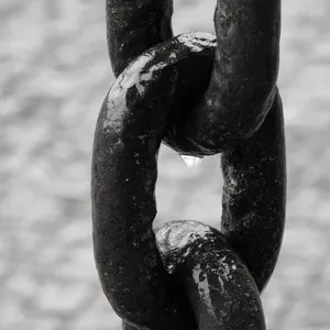 Tocona 4 sztuk/zestaw Mody Czechy Liści Węzeł Ręcznie Mankietów Link Chain Charm Bransoletka Bangle dla Kobiet Złota Biżuteria Bransoletki Femme 6115