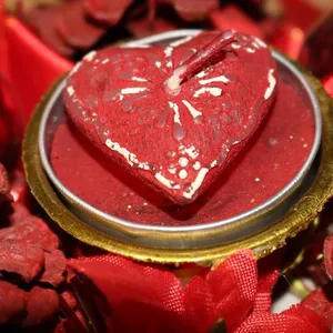 RscvonM Brand Stella DOUBLE HORN PENDANT HEART NECKLACE GOLD Dot LUNA Necklace Women Phase Heart Necklace Drop shipping