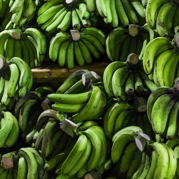 abadd78fcb51c20e5b201752f66ef812ab0e0d51.jpg Dziecko silikonowe szkolenia szczoteczka BPA darmo kształt Banana bezpieczne Toddle gryzak Chew zabawki ząbkowany pierścień prezent dla niemowląt dziecka żucia